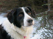 Embla
